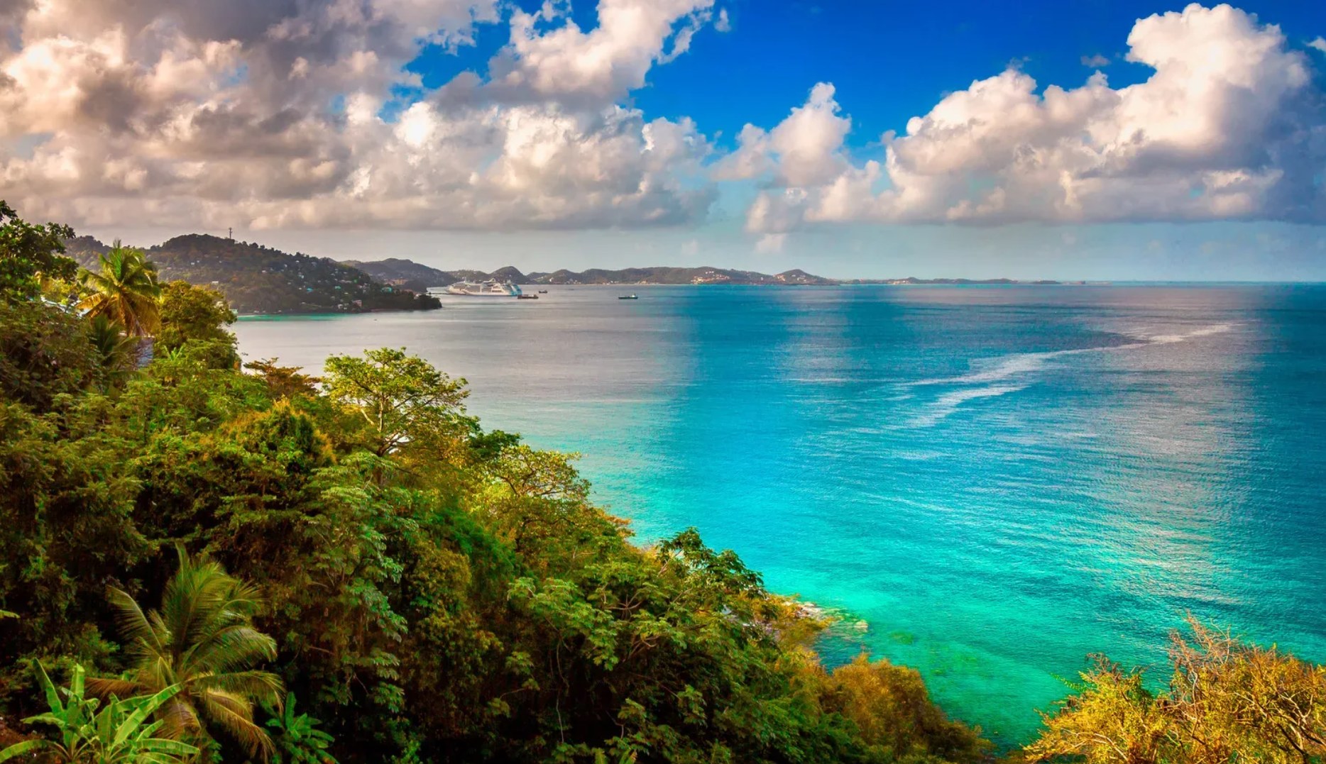 Grenada coastline with clear blue water